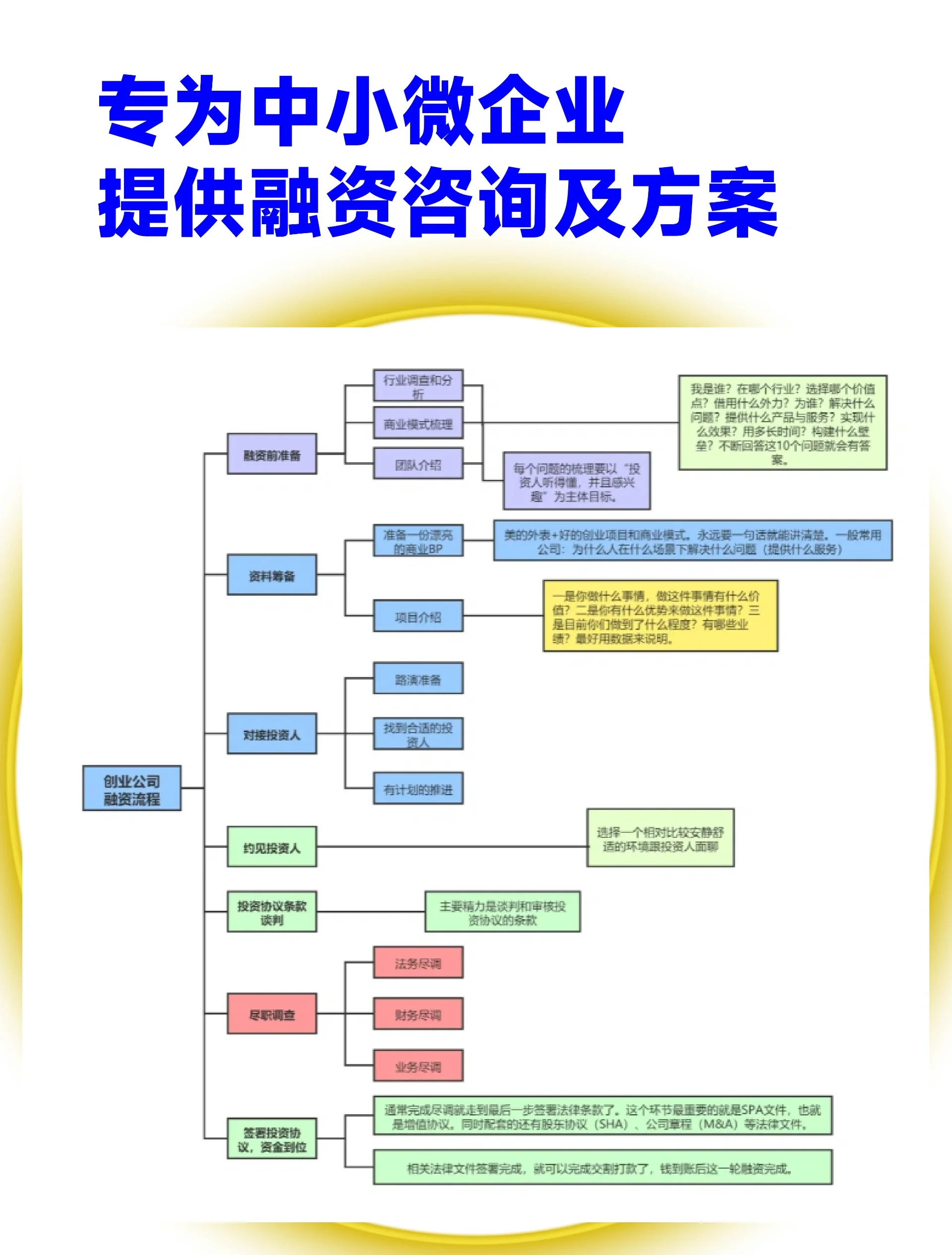泰安市宠物企业资金管理(宠物管理机构叫什么)