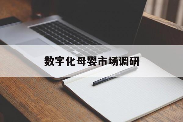 泰安市数字化母婴市场调研(数字化母婴市场调研报告)