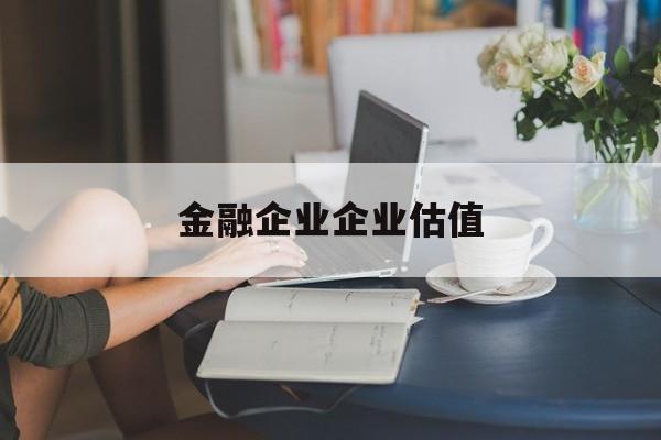 泰安市金融企业企业估值(最新企业估值怎么填)